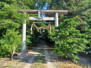 泉神社の参拝記録(銀玉鉄砲さん)