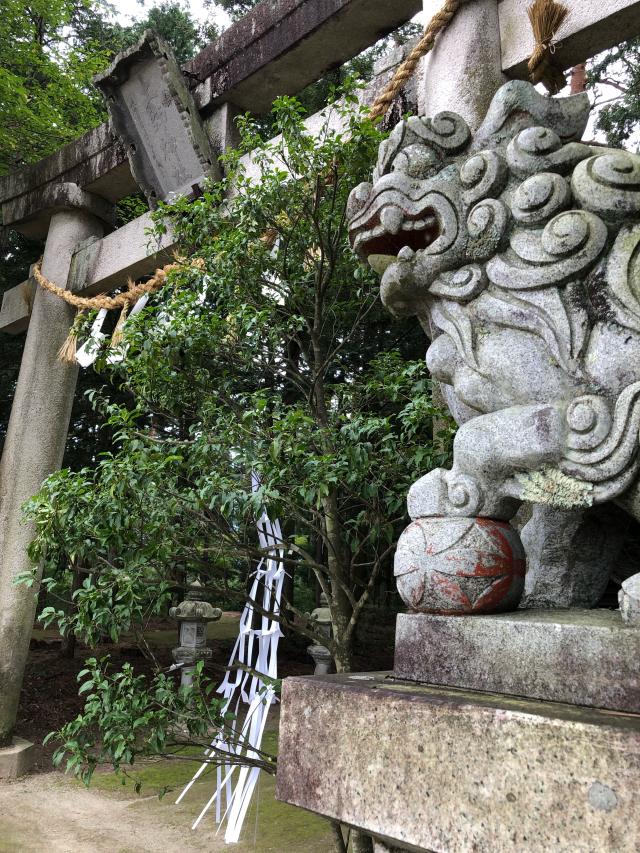 長野県大町市常盤163 八王子神社の写真6