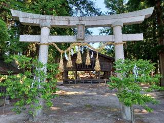 大和田神社の参拝記録(銀玉鉄砲さん)