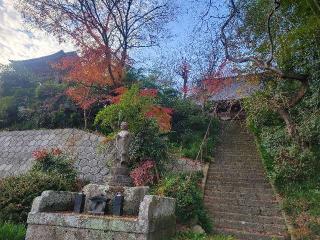 紫雲山　寳藏院の参拝記録(まっきーさん)