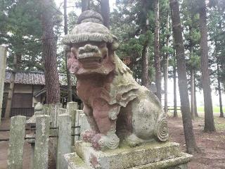 大妻神社の参拝記録(さとみさん)