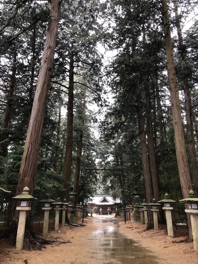 住吉神社の参拝記録8