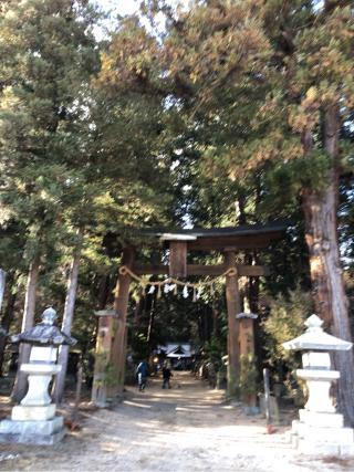 住吉神社の参拝記録(ひでひでさん)