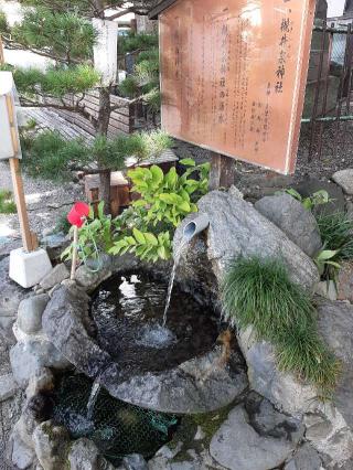 槻井泉神社の参拝記録(津波さん)