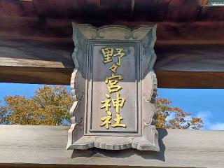 野々宮神社の参拝記録(銀玉鉄砲さん)