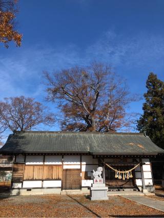 野々宮神社の参拝記録(ひでひでさん)