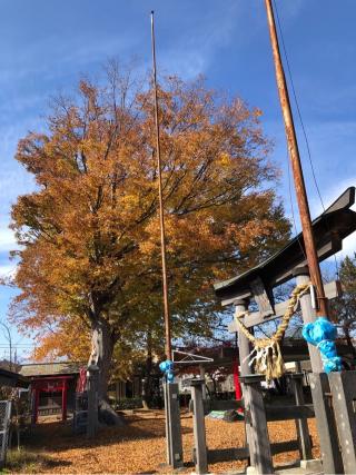 野々宮神社の参拝記録(ひでひでさん)