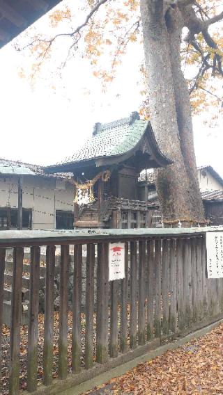 野々宮神社の参拝記録(ステイさん)