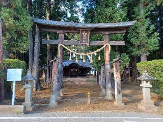 和田神社の参拝記録(銀玉鉄砲さん)
