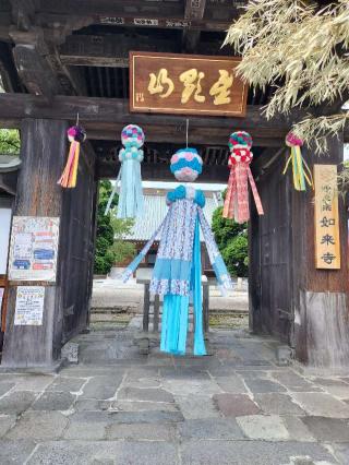 星顕山 光明院 如来寺の参拝記録(さとみさん)