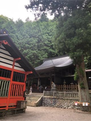 鎮神社の参拝記録(たかさん)