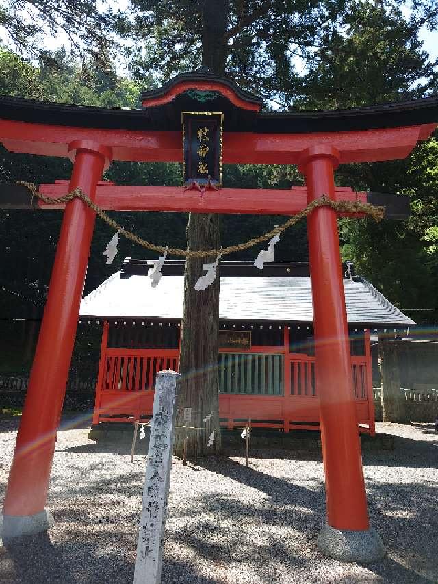 鎮神社の参拝記録10