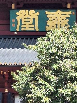 日光山 輪王寺の参拝記録(まーさんさん)