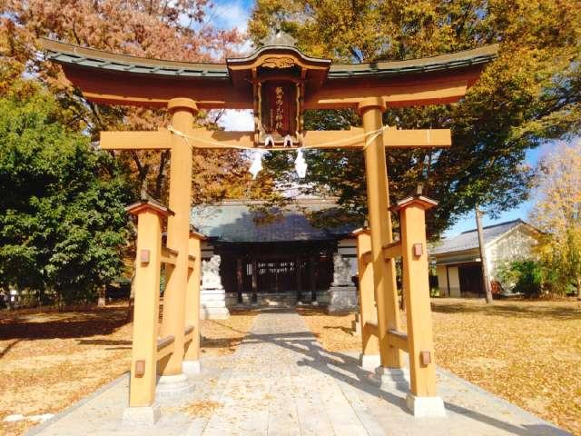 飯田郷元神社の参拝記録1