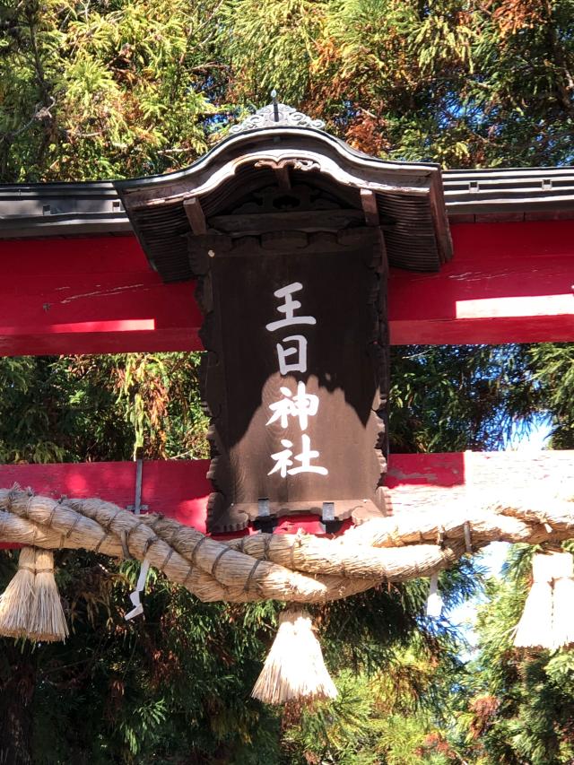 長野県中野市諏訪町4-20 王日神社の写真4