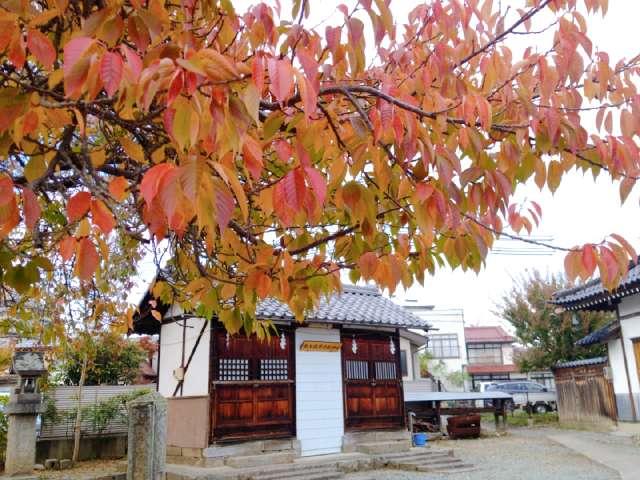 白山稲荷合殿神社の参拝記録1