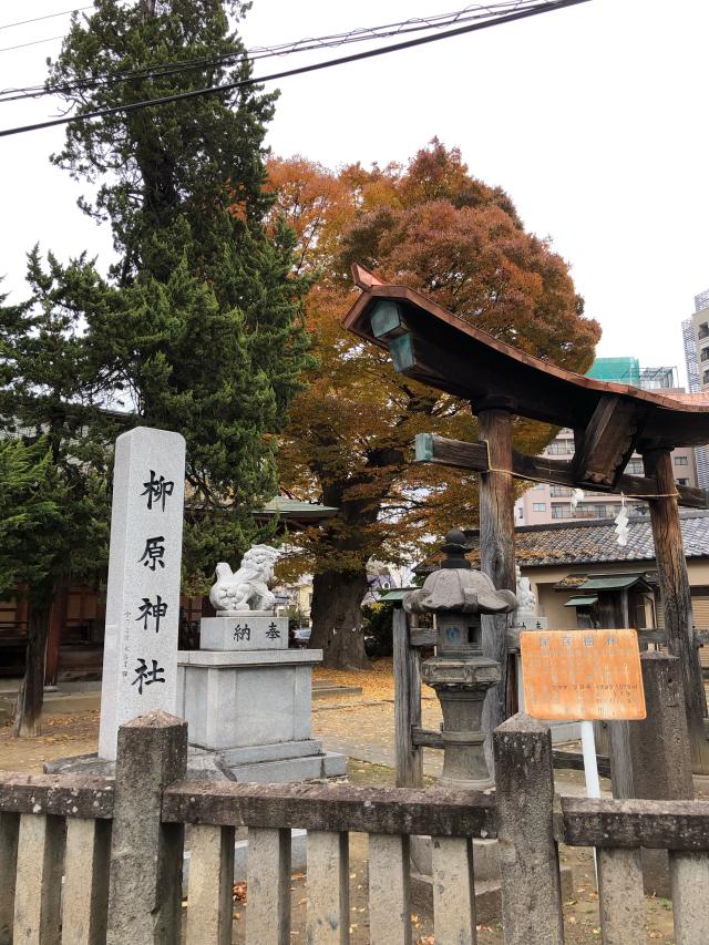 長野県長野市中御所１丁目４−１ 柳原神社の写真4