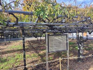 龍藏寺の参拝記録(優雅さん)