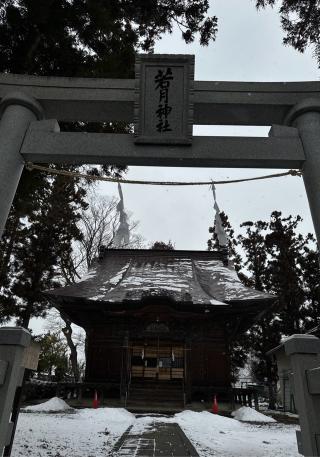 若月神社の参拝記録(竜胆の花さん)