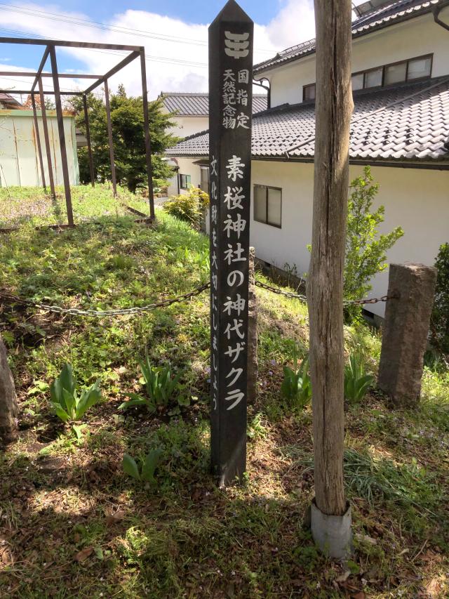 長野県長野市大字泉平字素桜513 素桜神社の写真3