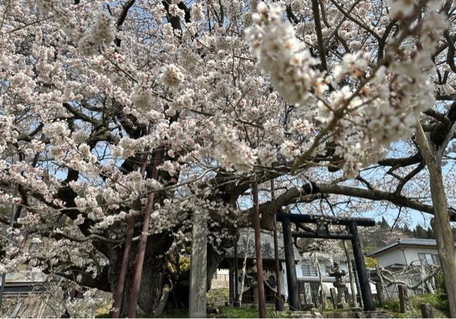 素桜神社の参拝記録2