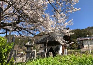 素桜神社の参拝記録(竜胆の花さん)