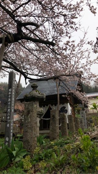 素桜神社の参拝記録(竜胆の花さん)