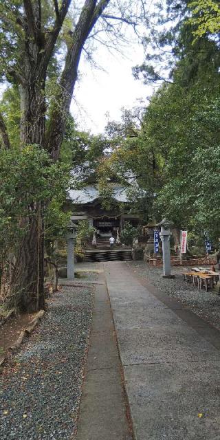 熊野出速雄神社の参拝記録(たがやしさん)