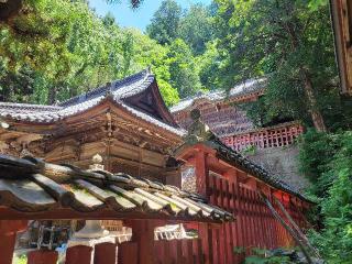 白鳥神社の参拝記録(まっきーさん)