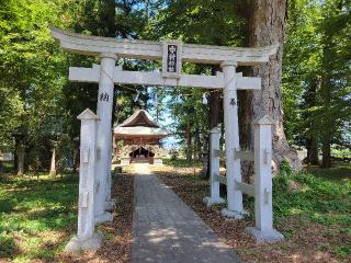 中村神社の参拝記録(まっきーさん)