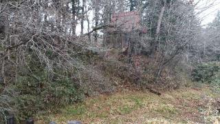 琵琶古跡神社の参拝記録(SFUKUさん)