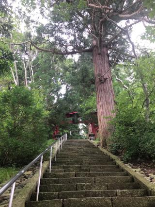 宇賀神社の参拝記録(piacereさん)