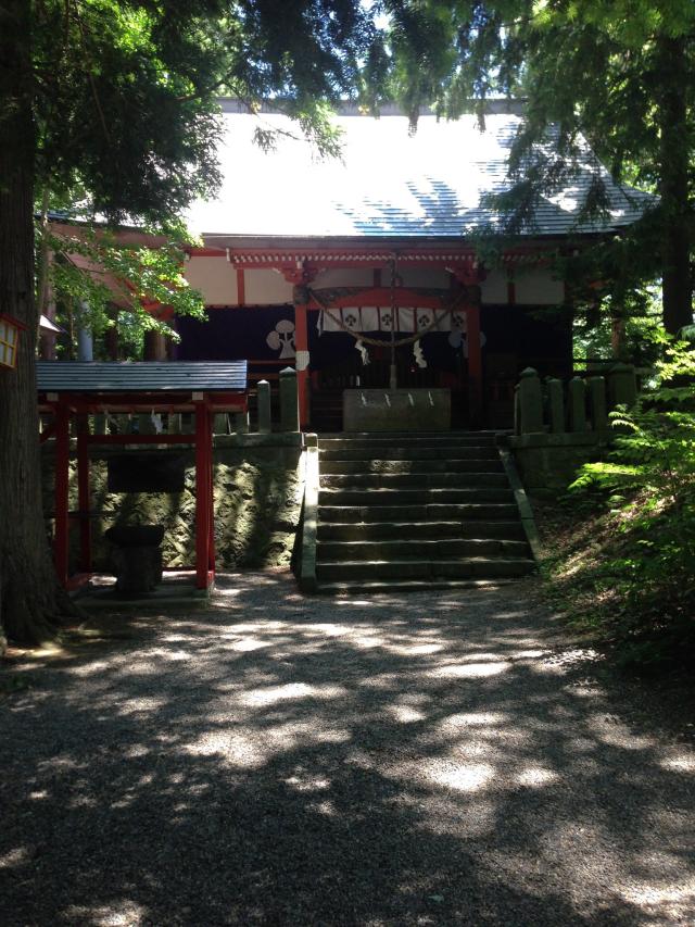 長野県上水内郡信濃町大字野尻字琵琶島246番地 宇賀神社の写真3