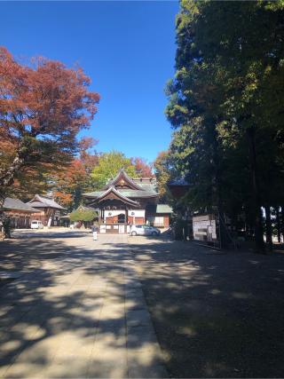 武水別神社の参拝記録(わしさん)