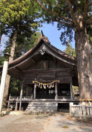 矢彦神社の参拝記録(竜胆の花さん)