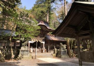 矢彦神社の参拝記録(竜胆の花さん)