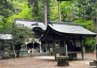 矢彦神社の参拝記録(竜胆の花さん)