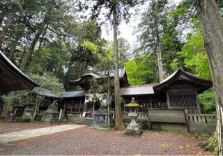 矢彦神社の参拝記録(竜胆の花さん)