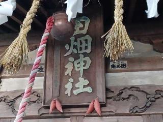 田畑神社の参拝記録(銀玉鉄砲さん)