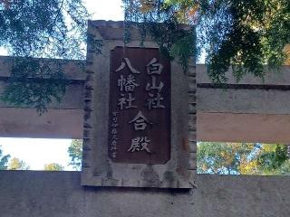 白山社八幡社合殿の参拝記録(銀玉鉄砲さん)