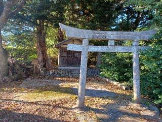 原山社山王崎社合殿の参拝記録(銀玉鉄砲さん)