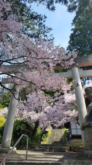 鉾持神社の参拝記録(®️さん)