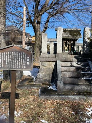 津島神社の参拝記録(xiao-chiさん)