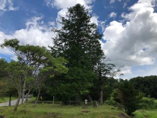疱瘡神社の参拝記録(ひでひでさん)