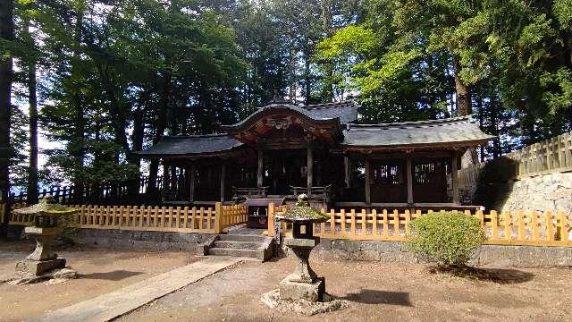 長野県諏訪郡富士見町乙事字乙事5410 乙事諏訪神社の写真2