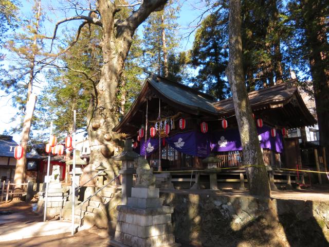 長野県諏訪市大和3-18-1 先宮神社の写真1