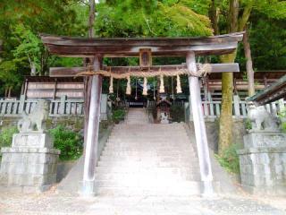 手長神社の参拝記録(miyumikoさん)