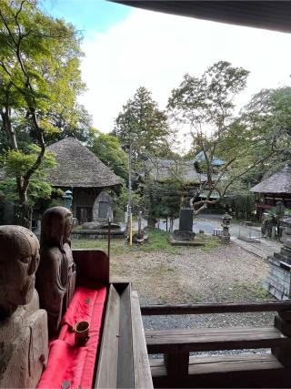 獨鈷山普門院西明寺（益子観音）の参拝記録(シャモさん)