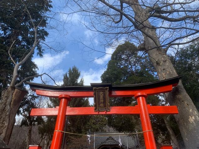 大星神社の参拝記録(ポポさん)