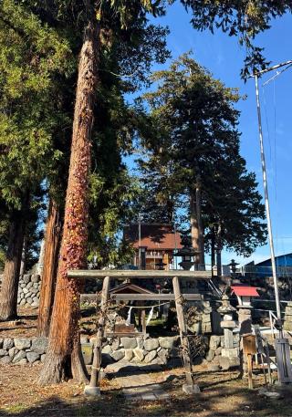 古町豊受大神宮の参拝記録(竜胆の花さん)